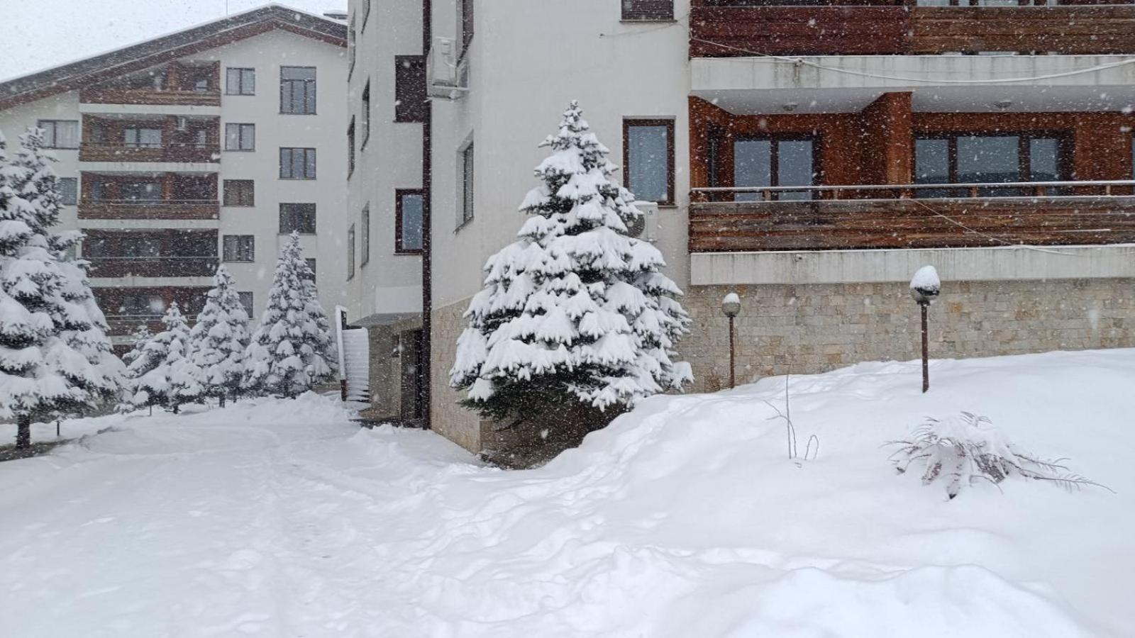 Studio Detelina Residence Банско Экстерьер фото
